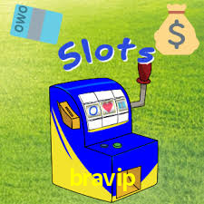 bravip.com